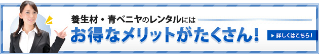 養生材・青ベニヤのレンタルにはお得なメリットがたくさん！